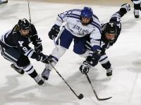 开云体育-三笘薰点燃赛场，突尼斯翻盘阿尔及利亚，足球场上的唯一性与不可预测之美