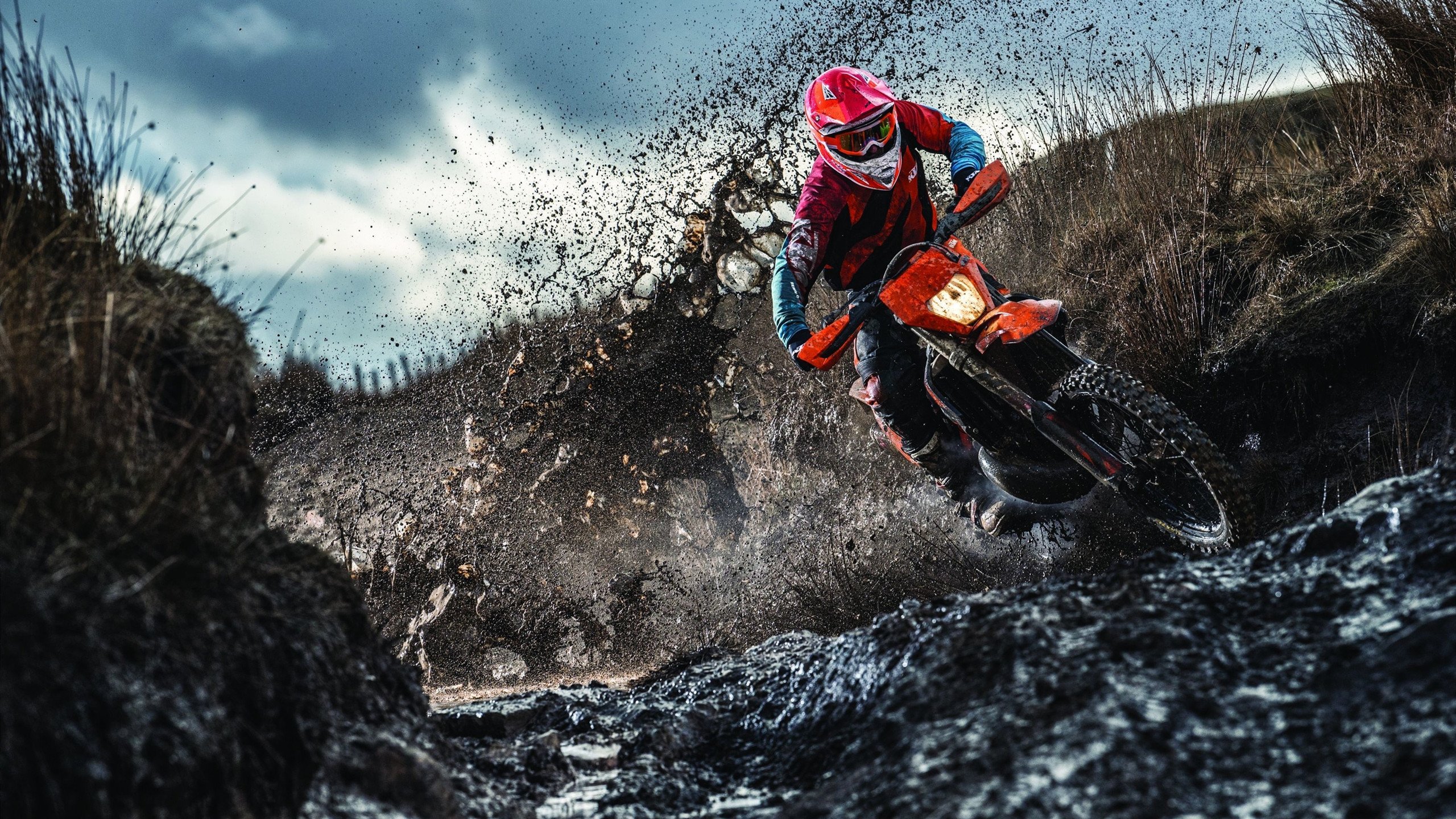 黄鸭组合火力全开助法国队完胜韩国，羽坛新格局初现？